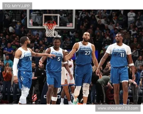 重建到崛起的明尼苏达森林狼队赛季征程与未来展望核心阵容解析路